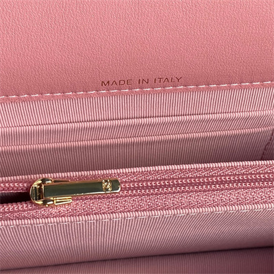 Chanel Clutch with Chain Lambskin, Strass & Gold-Tone Metal Pink AP4293