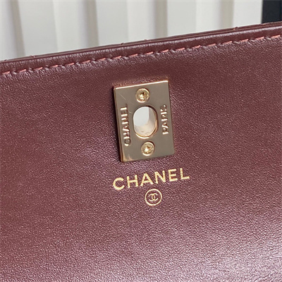 Chanel Clutch with Chain Lambskin, Strass & Gold-Tone Metal Burgundy AP4293