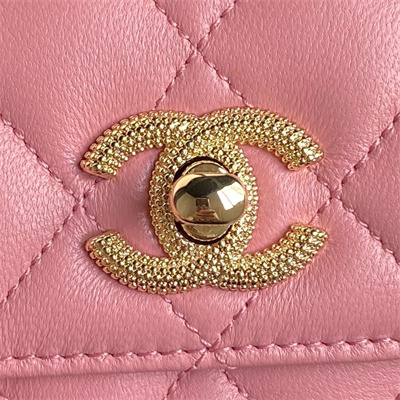 Chanel Clutch with Chain Lambskin, Strass & Gold-Tone Metal Pink AP4300