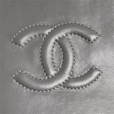 Chanel Flap Bag Shearling Lambskin & Gold-Tone Metal Grey AS5149