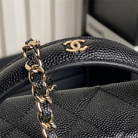 Chanel Long Vanity with chain Grained Calfskin & Gold-Tone Metal Black AP4407
