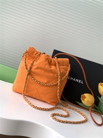 Chanel 22 Mini Handbag Canvas and Gold Tone Metal Orange AS3980