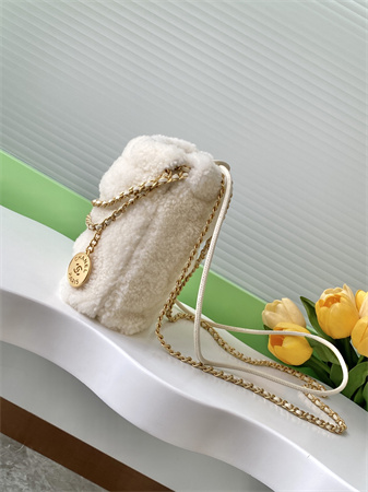 Chanel 22 Mini Handbag Shearling Wool and Gold Tone Metal  AS3980