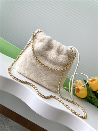 Chanel 22 Mini Handbag Shearling Wool and Gold Tone Metal  AS3980