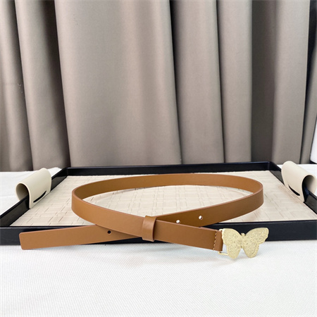 Dior Belts In Calfskin 20MM Color Options