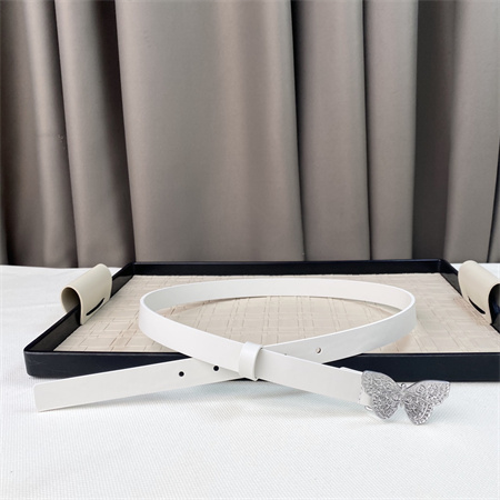 Dior Belts In Calfskin 20MM Color Options