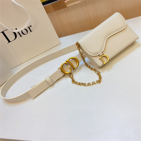 Dior Belt With Bag In Calfskin 20MM Gold Hardware Color Options