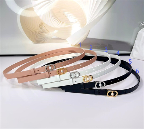 Dior Belts In Calfskin 15MM Gold/Silver Hardware Color Options