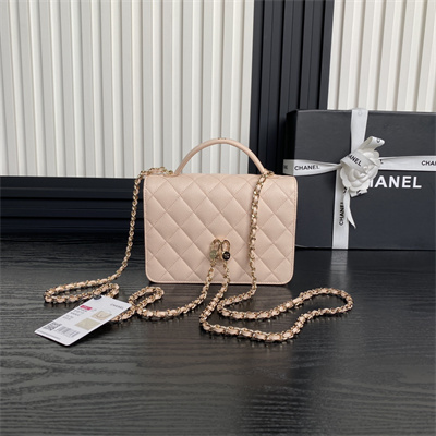 Chanel Clutch with Chain Grained Calfskin & Gold-Tone Metal Pink AP4406