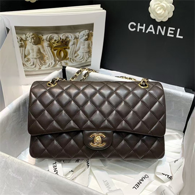 Chanel Medium Classic Flap Bag Lambskin Gold Tone Metal Dk Brown 01112