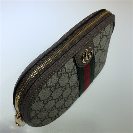 Gu.cci Ophidia Large cosmetic case GG Supreme canvas 625551