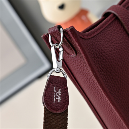 Evelyne III TPM Mini Bag In Burgundy(options)
