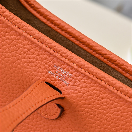 Evelyne III TPM Mini Bag In Orange(options)