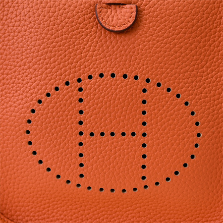 Evelyne III TPM Mini Bag In Orange(options)