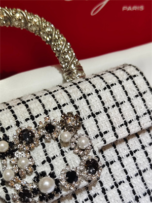 Roger Vivier Jewel Efflorescence Mini Bag In Tweed White/Black