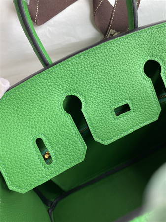 Birkin Bag Togo Leather 25/30/35 Gold/Silver Hardware In Bombou Color HS