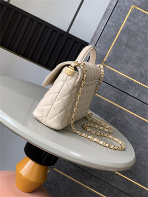 CHANEL Flap Bag With Top Handle Lambskin Gold Tone Metal Beige AS5356