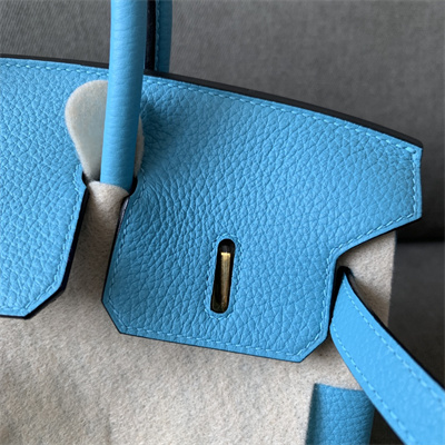 Bir.kin Bag Togo Leather 25/30/35 Gold/Silver Hardware In Blue du Nord Color HS