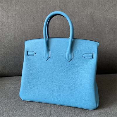 Bir.kin Bag Togo Leather 25/30/35 Gold/Silver Hardware In Blue du Nord Color HS