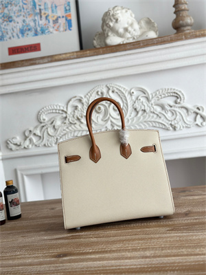 Bir.kin Sellier Bag Epsom Leather 25CM Gold/Silver Hardware In Craie/Gold HS
