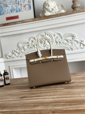 Bir.kin Sellier Bag Epsom Leather 25CM Gold/Silver Hardware In Etoupe/Craie HS