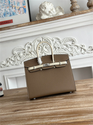 Bir.kin Sellier Bag Epsom Leather 25CM Gold/Silver Hardware In Etoupe/Craie HS
