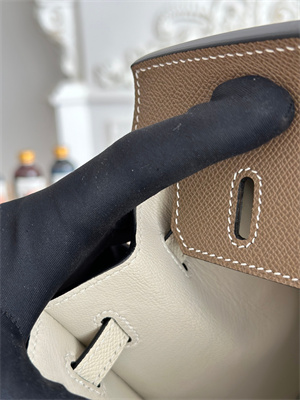 Bir.kin Sellier Bag Epsom Leather 25CM Gold/Silver Hardware In Etoupe/Craie HS