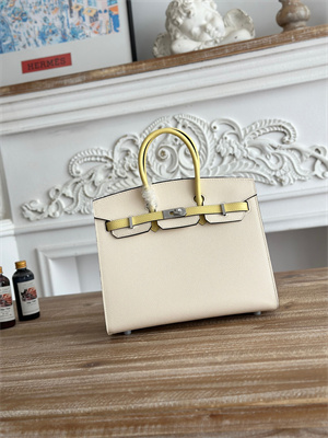 Bir.kin Sellier Bag Epsom Leather 25CM Gold/Silver Hardware In Craie/Jaune Poussin HS
