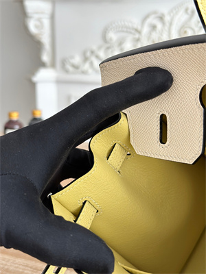 Bir.kin Sellier Bag Epsom Leather 25CM Gold/Silver Hardware In Craie/Jaune Poussin HS