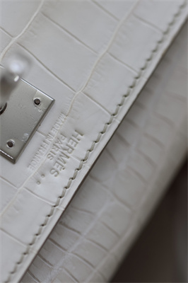 Kelly Retourne Bag 25 Himalayan Niloticus Silver Hardware HS