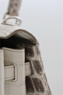 Kelly Retourne Bag 25 Himalayan Niloticus Silver Hardware HS