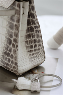 Kelly Retourne Bag 25 Himalayan Niloticus Silver Hardware HS