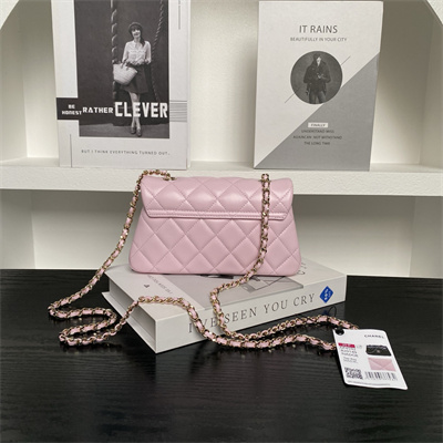 Chanel FLAP PHONE HOLDER WITH CHAIN Lambskin Gold-Tone Metal Pink AP4592