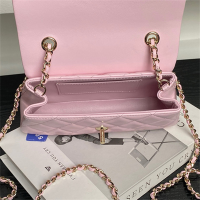 Chanel FLAP PHONE HOLDER WITH CHAIN Lambskin Gold-Tone Metal Pink AP4592