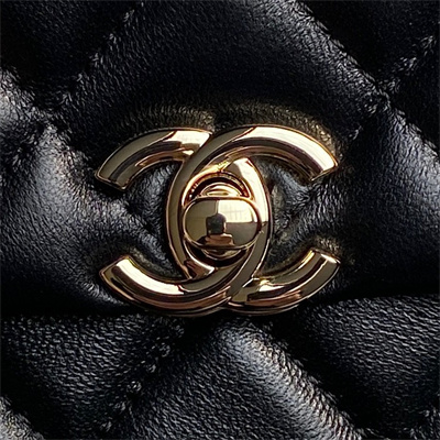 Chanel FLAP PHONE HOLDER WITH CHAIN Lambskin Gold-Tone Metal Black AP4592