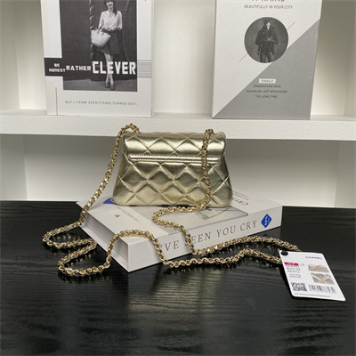 Chanel Mini FLAP PHONE HOLDER WITH CHAIN Lambskin Gold-Tone Metal Gold AP4593