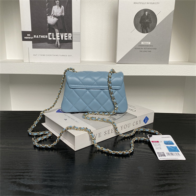 Chanel Mini FLAP PHONE HOLDER WITH CHAIN Lambskin Gold-Tone Metal Blue AP4593