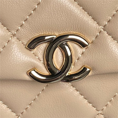 Chanel Mini FLAP PHONE HOLDER WITH CHAIN Lambskin Gold-Tone Metal Beige AP4593