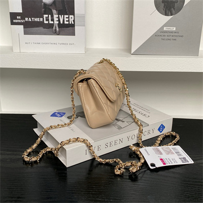 Chanel Mini FLAP PHONE HOLDER WITH CHAIN Lambskin Gold-Tone Metal Beige AP4593