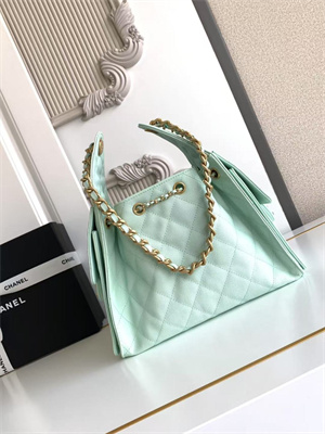 Chanel 25 Small Handbag Grained Calfskin Gold Tone Metal Lt Green AS5293