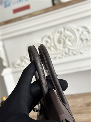 Bir.kin Sellier Bag Epsom Leather 25/30/35CM Gold Hardware In Cafe Color HS