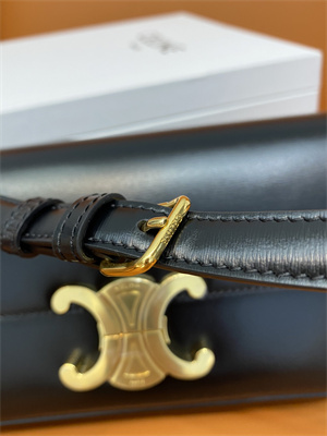 Celine Triomphe Shoulder Bag In Shiny Calfskin Black Color