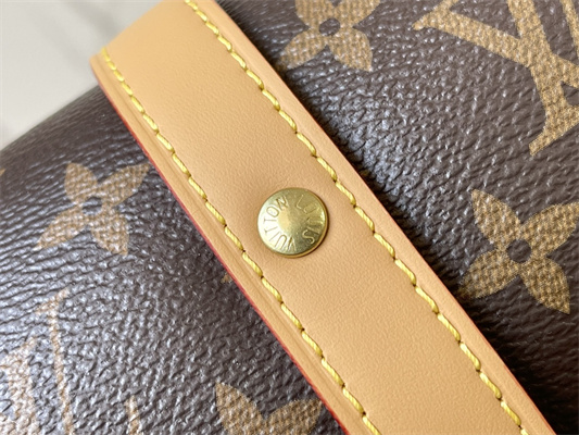 L.V SAUMUR MM Messenger Bag Monogram Canvas M40710