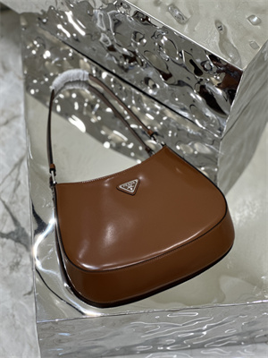 Prada Cleo Brushed Leather Shoulder Bag Brown 1BC499