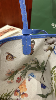 Goyard Anjou Mini Bag Chevroches Calfskin & Goyardine Canvas Iris