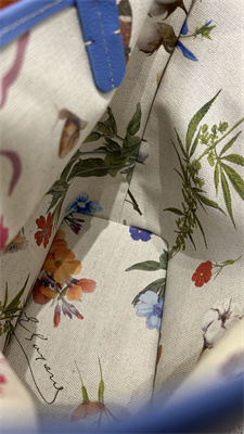 Goyard Anjou Mini Bag Chevroches Calfskin & Goyardine Canvas Iris