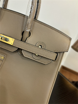 Birkin Colormatic Bag Swift Leather 25/30 Gold/Silver Hardware In Trench Color HS