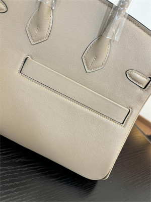 Birkin Colormatic Bag Swift Leather 25/30 Gold/Silver Hardware In Trench Color HS