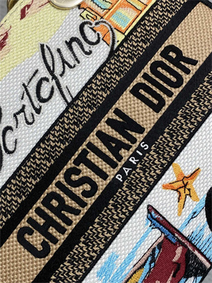 CD Medium Lady D-Lite Bag  Embroidery White