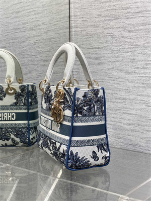 CD Medium Lady D-Lite Bag  Embroidery White &Blue